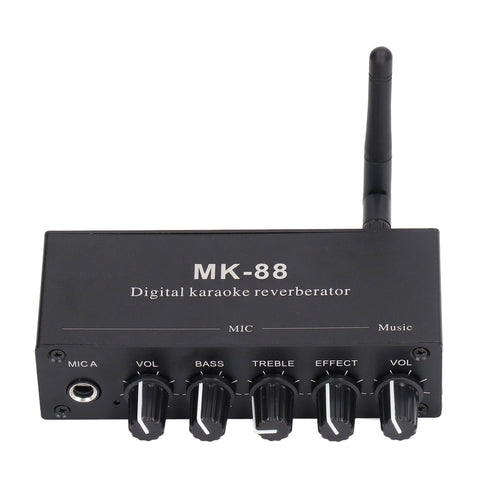 Genuine Digital Reverberator Stereo Amplifier Bluetooth 5.0 Dual Microphone Input DC 12V